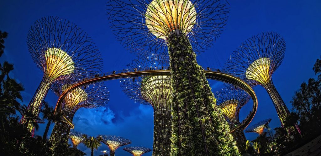The Supertrees demonstrate wellness architecture in Singapore